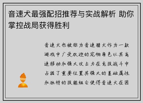 音速犬最强配招推荐与实战解析 助你掌控战局获得胜利